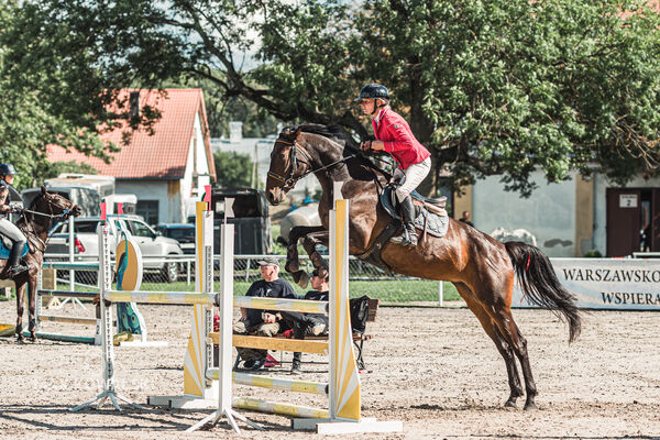 SFT i przyjaciele Jumping Show - KJ Skarb Kozienice ZRiT 22-23.08.2026