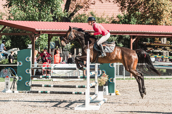 SFT i przyjaciele Jumping Show - KJ Skarb Kozienice ZRiT 22-23.08.2026