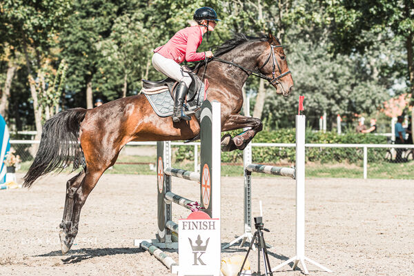 SFT i przyjaciele Jumping Show - KJ Skarb Kozienice ZRiT 22-23.08.2026