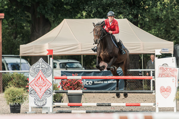 SFT i przyjaciele JUMPING SHOW - ZRiT - WRZESIEŃ 2026 Kozienice
