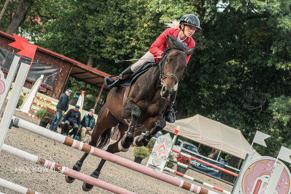 SFT i przyjaciele JUMPING SHOW - ZRiT - WRZESIEŃ 2026 Kozienice