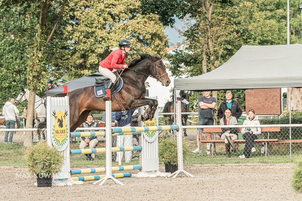 SFT i przyjaciele JUMPING SHOW - ZRiT - WRZESIEŃ 2026 Kozienice