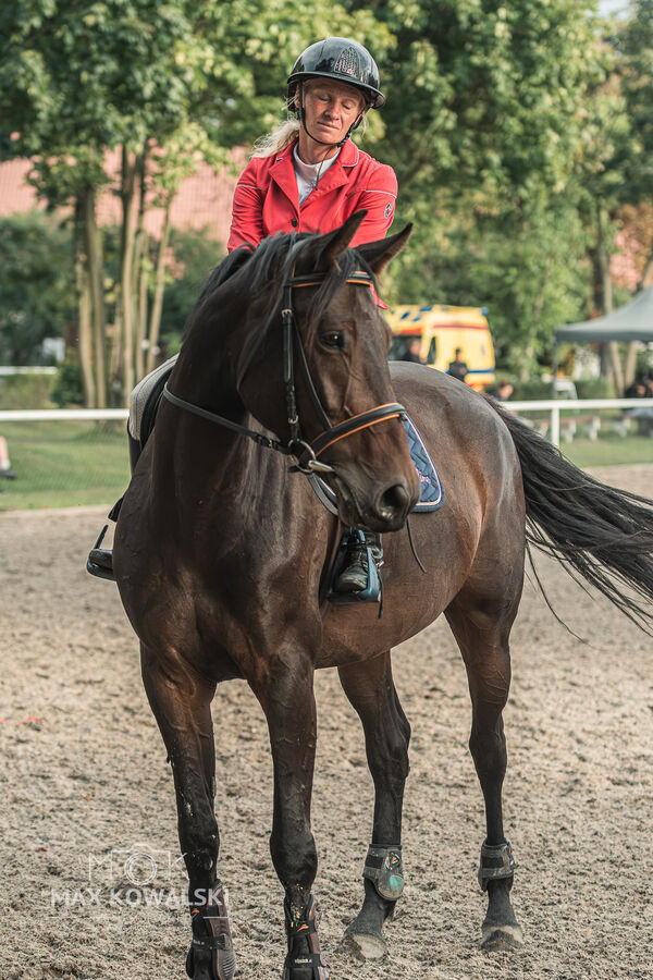 SFT i przyjaciele JUMPING SHOW - ZRiT - WRZESIEŃ 2026 Kozienice