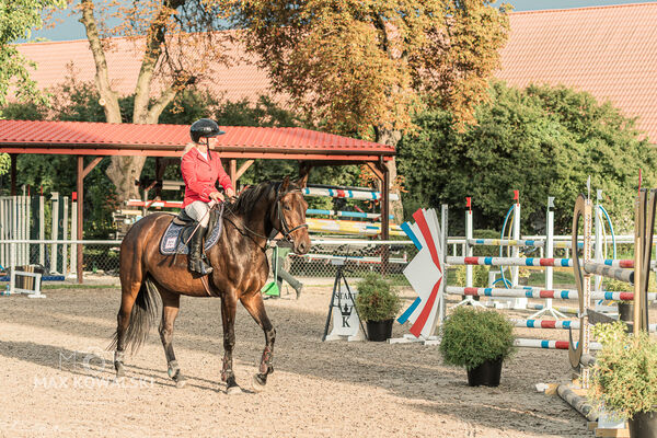 SFT i przyjaciele JUMPING SHOW - ZRiT - WRZESIEŃ 2026 Kozienice