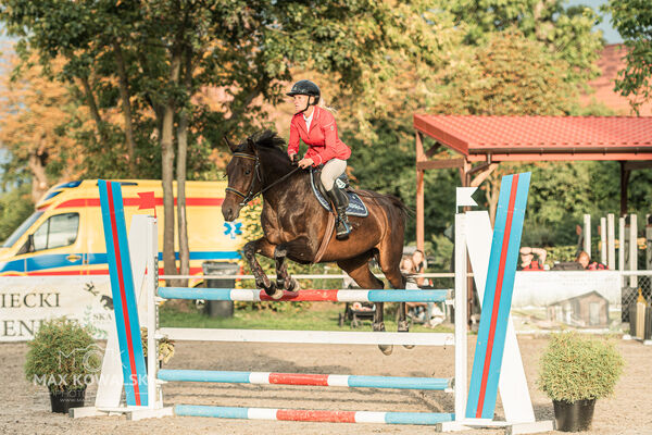 SFT i przyjaciele JUMPING SHOW - ZRiT - WRZESIEŃ 2026 Kozienice