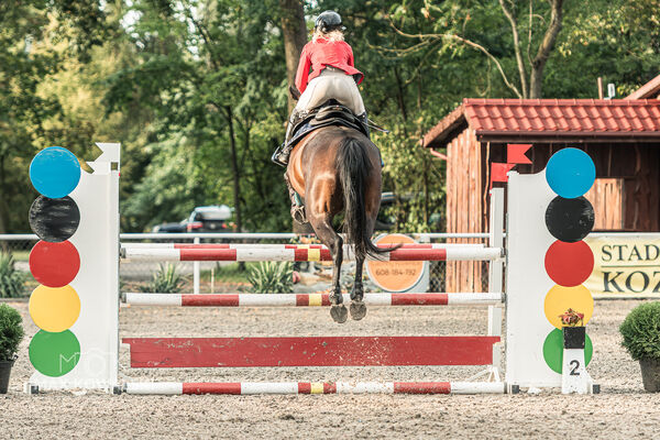 SFT i przyjaciele JUMPING SHOW - ZRiT - WRZESIEŃ 2026 Kozienice
