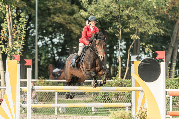 SFT i przyjaciele JUMPING SHOW - ZRiT - WRZESIEŃ 2026 Kozienice
