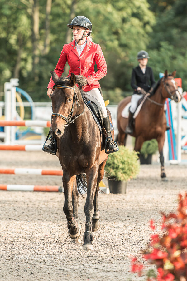 SFT i przyjaciele JUMPING SHOW - ZRiT - WRZESIEŃ 2026 Kozienice