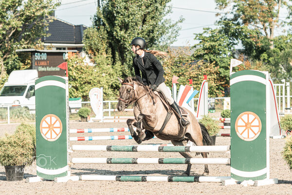 SFT i przyjaciele JUMPING SHOW - ZRiT - WRZESIEŃ 2026 Kozienice
