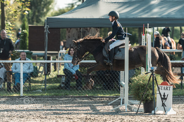 SFT i przyjaciele JUMPING SHOW - ZRiT - WRZESIEŃ 2026 Kozienice
