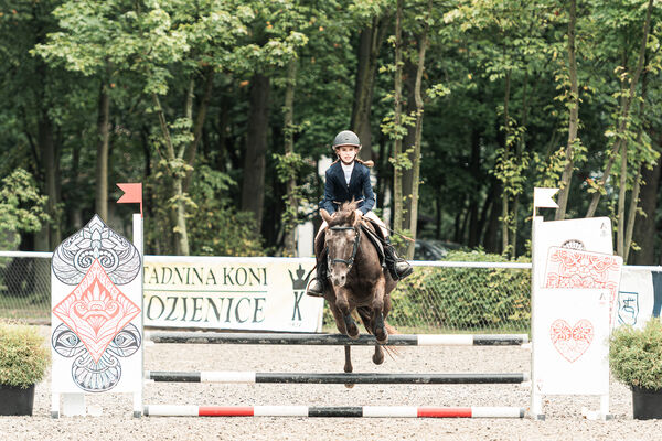 SFT i przyjaciele JUMPING SHOW - ZRiT - WRZESIEŃ 2026 Kozienice