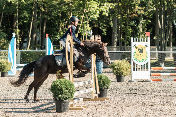 SFT i przyjaciele JUMPING SHOW - ZRiT - WRZESIEŃ 2026 Kozienice