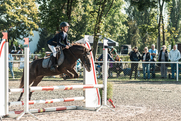 SFT i przyjaciele JUMPING SHOW - ZRiT - WRZESIEŃ 2026 Kozienice