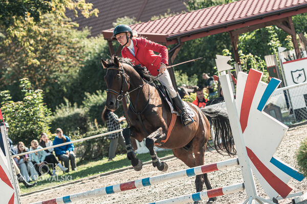 SFT i przyjaciele JUMPING SHOW - ZRiT - WRZESIEŃ 2026 Kozienice