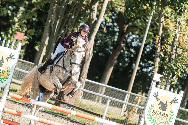 SFT i przyjaciele JUMPING SHOW - ZRiT - WRZESIEŃ 2026 Kozienice