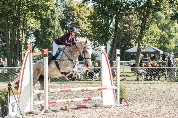 SFT i przyjaciele JUMPING SHOW - ZRiT - WRZESIEŃ 2026 Kozienice