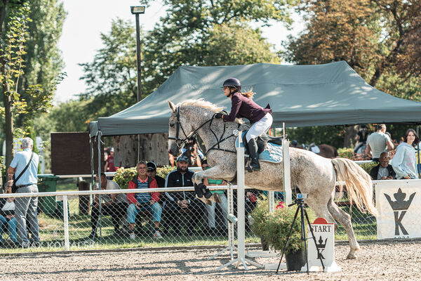 SFT i przyjaciele JUMPING SHOW - ZRiT - WRZESIEŃ 2026 Kozienice