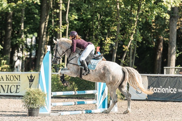 SFT i przyjaciele JUMPING SHOW - ZRiT - WRZESIEŃ 2026 Kozienice