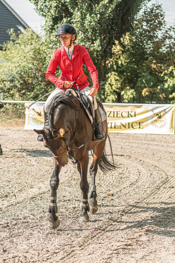 SFT i przyjaciele JUMPING SHOW - ZRiT - WRZESIEŃ 2026 Kozienice