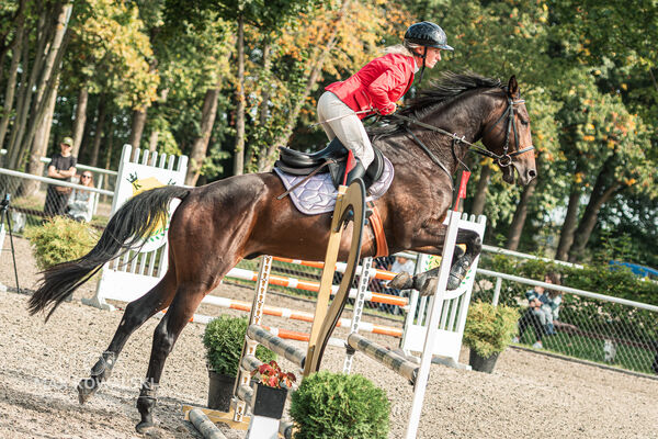 SFT i przyjaciele JUMPING SHOW - ZRiT - WRZESIEŃ 2026 Kozienice