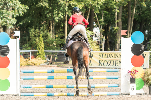 SFT i przyjaciele JUMPING SHOW - ZRiT - WRZESIEŃ 2026 Kozienice