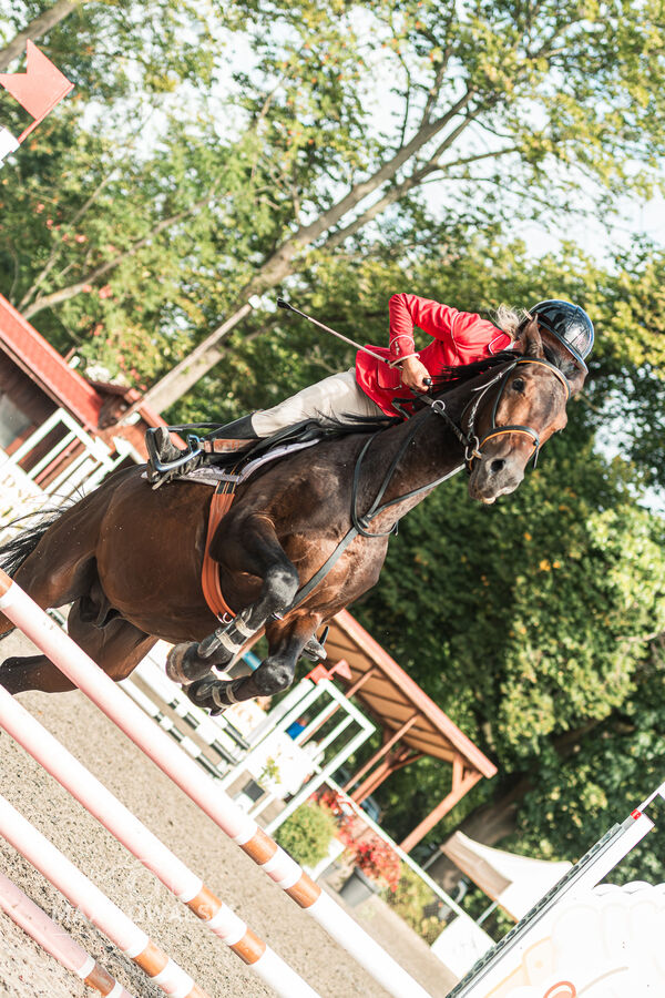 SFT i przyjaciele JUMPING SHOW - ZRiT - WRZESIEŃ 2026 Kozienice