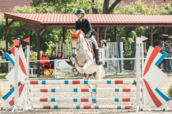 SFT i przyjaciele JUMPING SHOW - ZRiT - WRZESIEŃ 2026 Kozienice