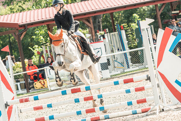 SFT i przyjaciele JUMPING SHOW - ZRiT - WRZESIEŃ 2026 Kozienice