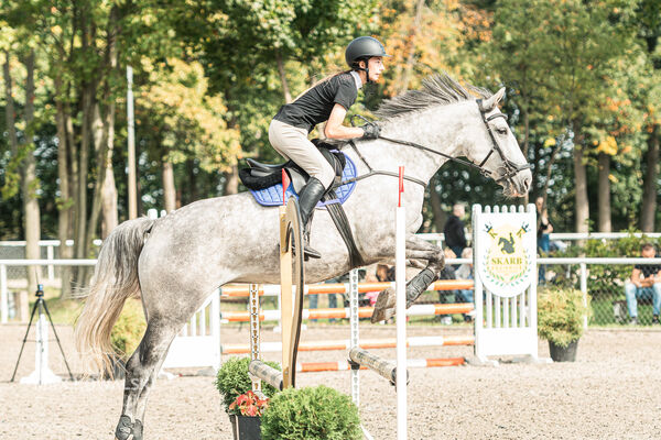 SFT i przyjaciele JUMPING SHOW - ZRiT - WRZESIEŃ 2026 Kozienice