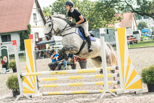 SFT i przyjaciele JUMPING SHOW - ZRiT - WRZESIEŃ 2026 Kozienice