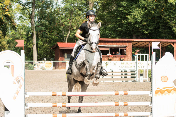 SFT i przyjaciele JUMPING SHOW - ZRiT - WRZESIEŃ 2026 Kozienice