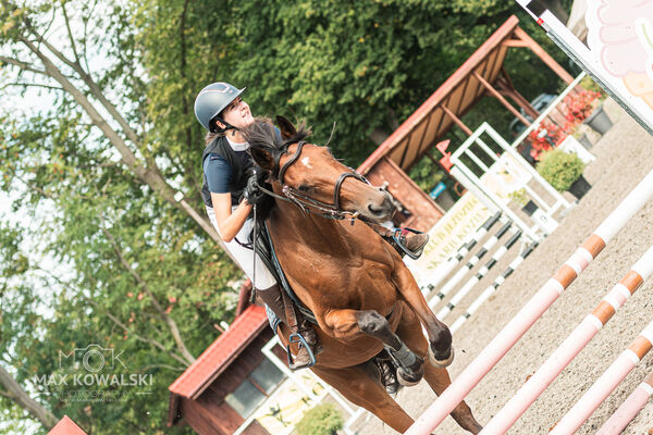 SFT i przyjaciele JUMPING SHOW - ZRiT - WRZESIEŃ 2026 Kozienice