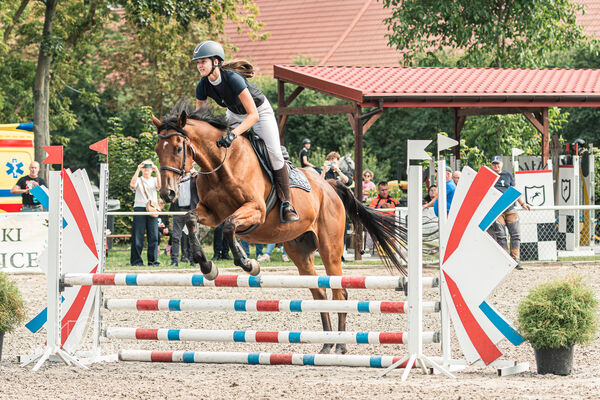 SFT i przyjaciele JUMPING SHOW - ZRiT - WRZESIEŃ 2026 Kozienice