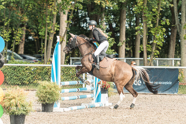 SFT i przyjaciele JUMPING SHOW - ZRiT - WRZESIEŃ 2026 Kozienice