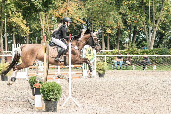 SFT i przyjaciele JUMPING SHOW - ZRiT - WRZESIEŃ 2026 Kozienice