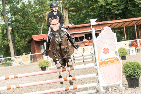 SFT i przyjaciele JUMPING SHOW - ZRiT - WRZESIEŃ 2026 Kozienice