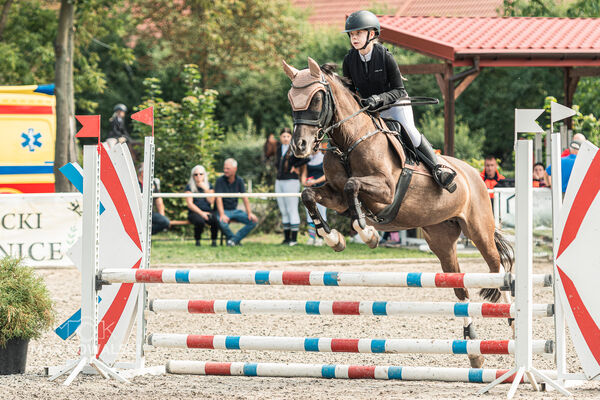 SFT i przyjaciele JUMPING SHOW - ZRiT - WRZESIEŃ 2026 Kozienice