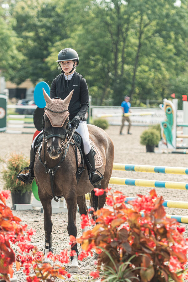 SFT i przyjaciele JUMPING SHOW - ZRiT - WRZESIEŃ 2026 Kozienice