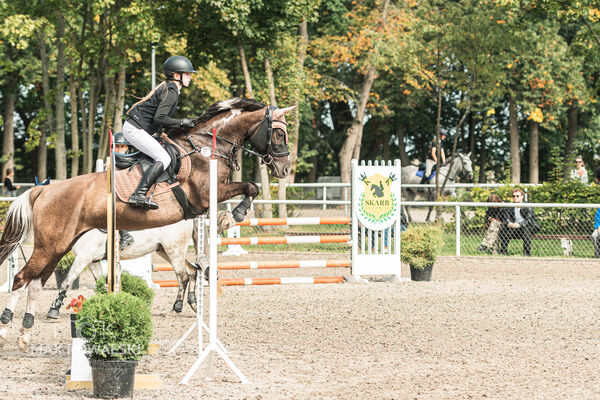 SFT i przyjaciele JUMPING SHOW - ZRiT - WRZESIEŃ 2026 Kozienice