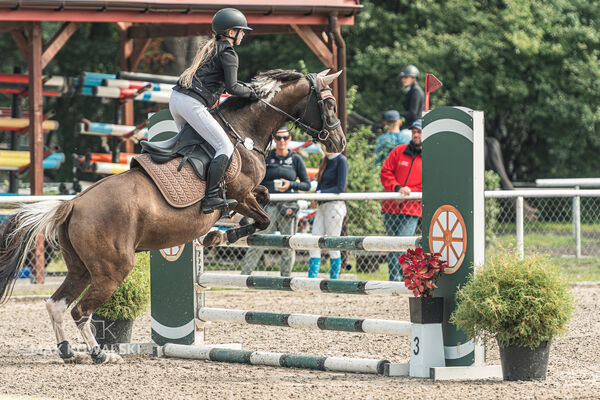 SFT i przyjaciele JUMPING SHOW - ZRiT - WRZESIEŃ 2026 Kozienice