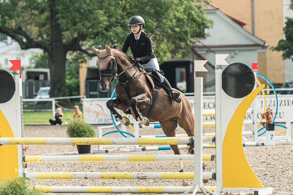 SFT i przyjaciele JUMPING SHOW - ZRiT - WRZESIEŃ 2026 Kozienice