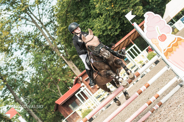 SFT i przyjaciele JUMPING SHOW - ZRiT - WRZESIEŃ 2026 Kozienice