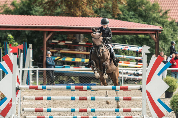 SFT i przyjaciele JUMPING SHOW - ZRiT - WRZESIEŃ 2026 Kozienice