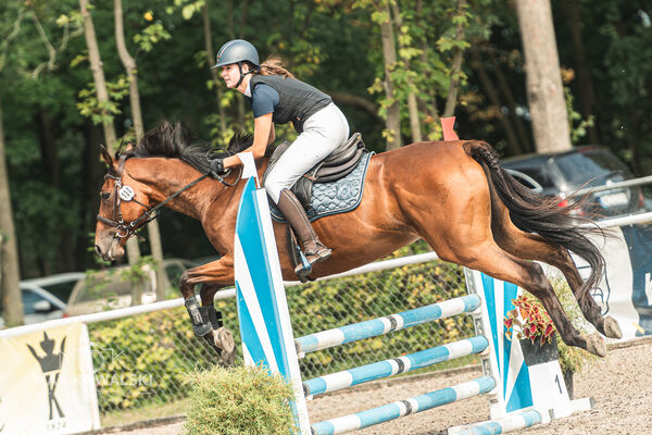 SFT i przyjaciele JUMPING SHOW - ZRiT - WRZESIEŃ 2026 Kozienice