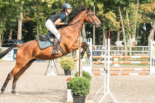 SFT i przyjaciele JUMPING SHOW - ZRiT - WRZESIEŃ 2026 Kozienice