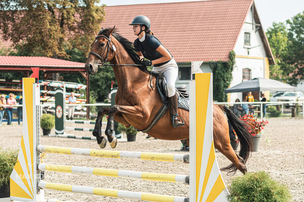 SFT i przyjaciele JUMPING SHOW - ZRiT - WRZESIEŃ 2026 Kozienice