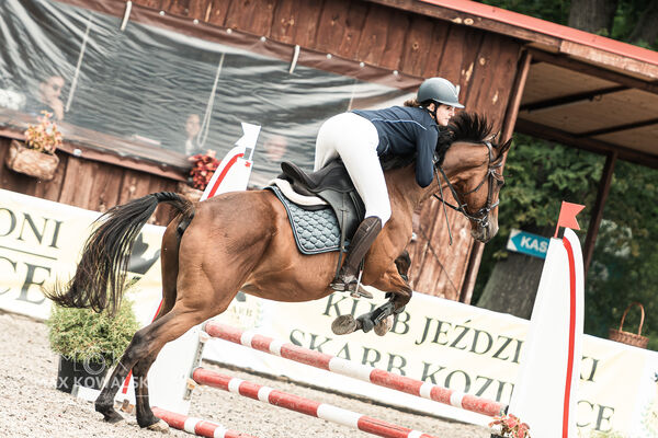 SFT i przyjaciele JUMPING SHOW - ZRiT - WRZESIEŃ 2026 Kozienice