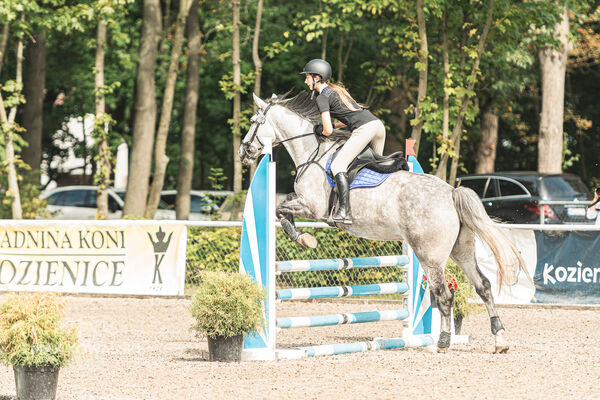 SFT i przyjaciele JUMPING SHOW - ZRiT - WRZESIEŃ 2026 Kozienice