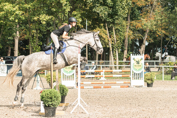 SFT i przyjaciele JUMPING SHOW - ZRiT - WRZESIEŃ 2026 Kozienice