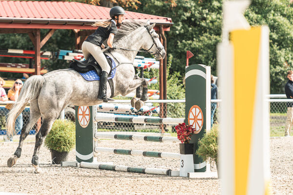 SFT i przyjaciele JUMPING SHOW - ZRiT - WRZESIEŃ 2026 Kozienice
